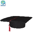 CAPPELLO LAUREA NERO ADULTO